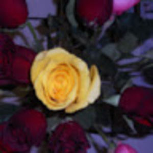 Meet your Posher, Kathy